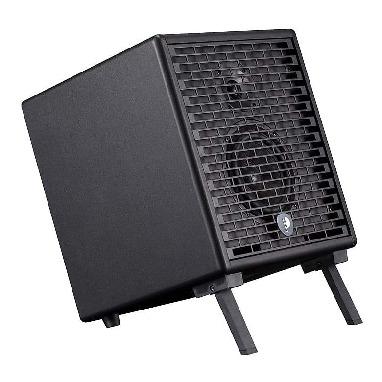 Prodipe Amplifier Prodipe Natural 6 Acoustic Guitar Amp
