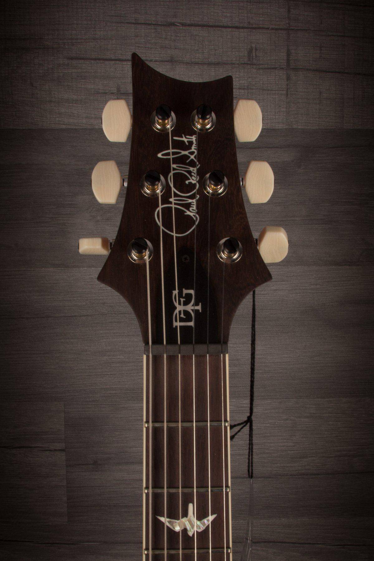 PRS DGT (David Grissom Trem) - Autumn Sky #249604 - MusicStreet