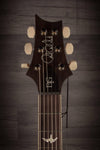 PRS DGT (David Grissom Trem) - Autumn Sky #249604 - MusicStreet