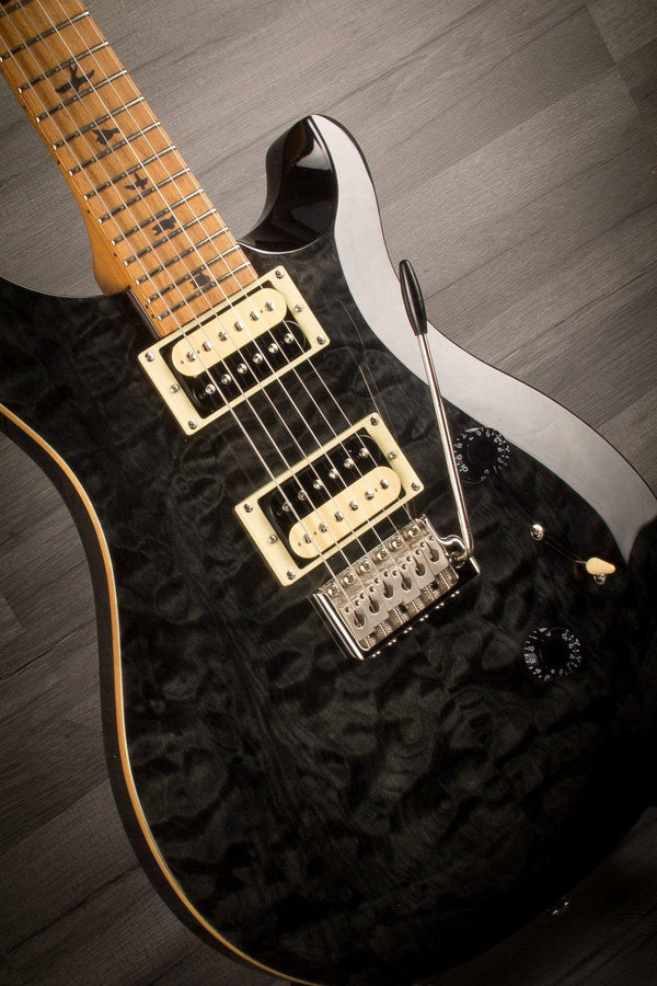 PRS - SE Custom 24 Roasted maple Limited Edition (Europe) - Grey Black - MusicStreet