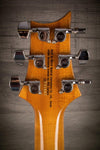 PRS - SE Custom 24 Roasted maple Limited Edition (Europe) - Grey Black - MusicStreet