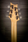 PRS Silver Sky, John Mayer Signature model - FROST - MusicStreet