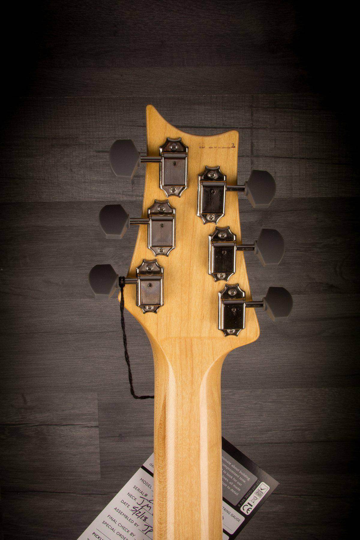 PRS Silver Sky, John Mayer Signature model - Horizon