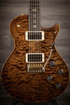 USED - PRS Tremonti Wood Library - Custom Colour #225646 - MusicStreet