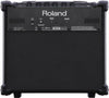 Roland Cube-10Gx - MusicStreet
