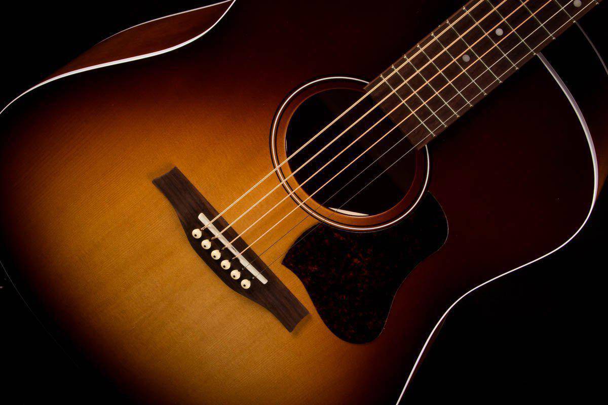 Seagull Entourage Acoustic Guitar, Autumn Burst Q1T - MusicStreet
