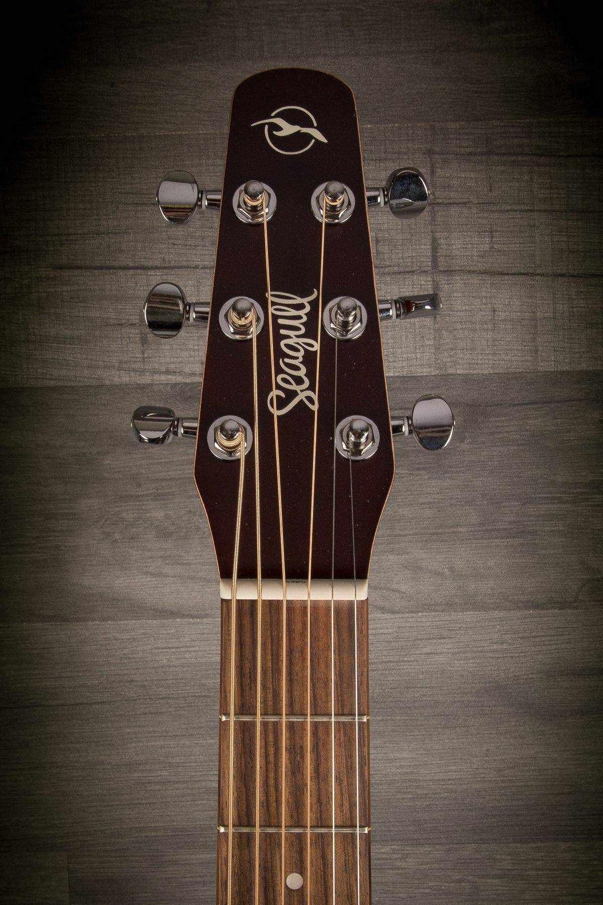 Seagull Entourage Concert Hall CW Electro Acoustic, Autumn Burst