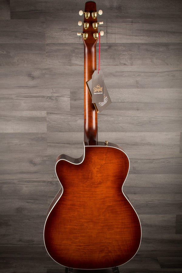 Seagull Acoustic Guitar Seagull Performer CW Concert Q1T Electro Acoustic - Burnt Umber