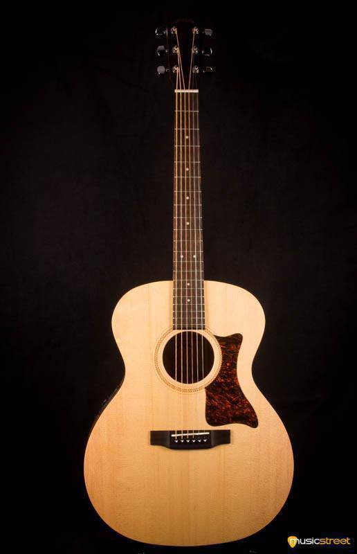 USED - Sigma Sig-GME including TGI hard case
