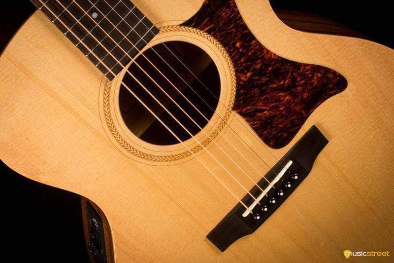 USED - Sigma Sig-GME including TGI hard case