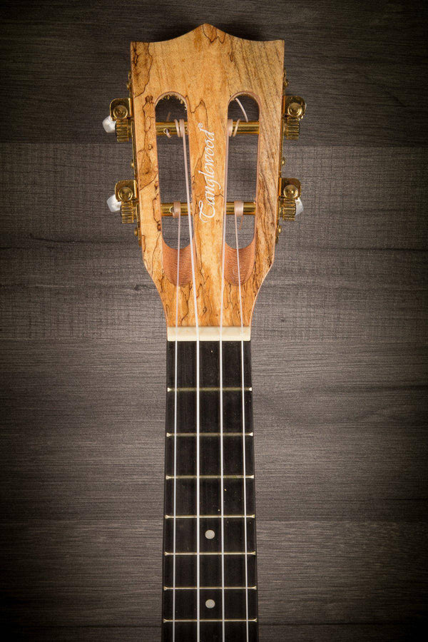 Tanglewood TWT11 TIARE Series Concert Ukulele - MusicStreet