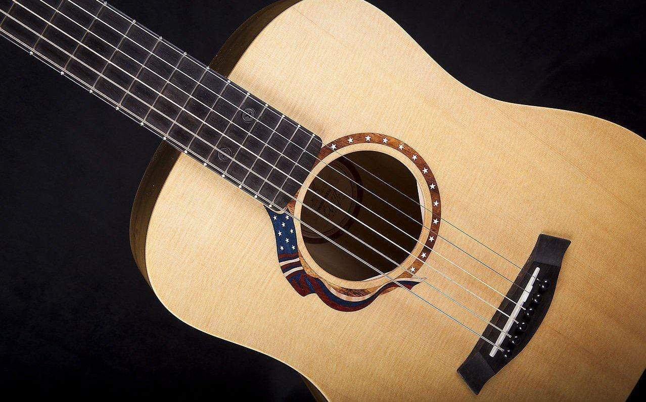 USED - 2002 Taylor Liberty Tree & Liberty Tree Baby Taylor (Pair)