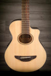Yamaha Acoustic Guitar Yamaha APXT2 Travel Acoustic Guitar - Natural