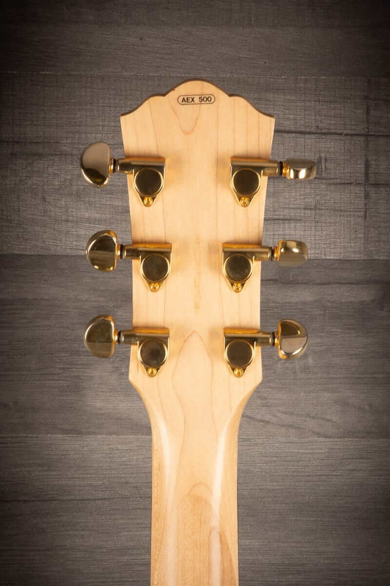 USED Yamaha - AEX 500 with hard case