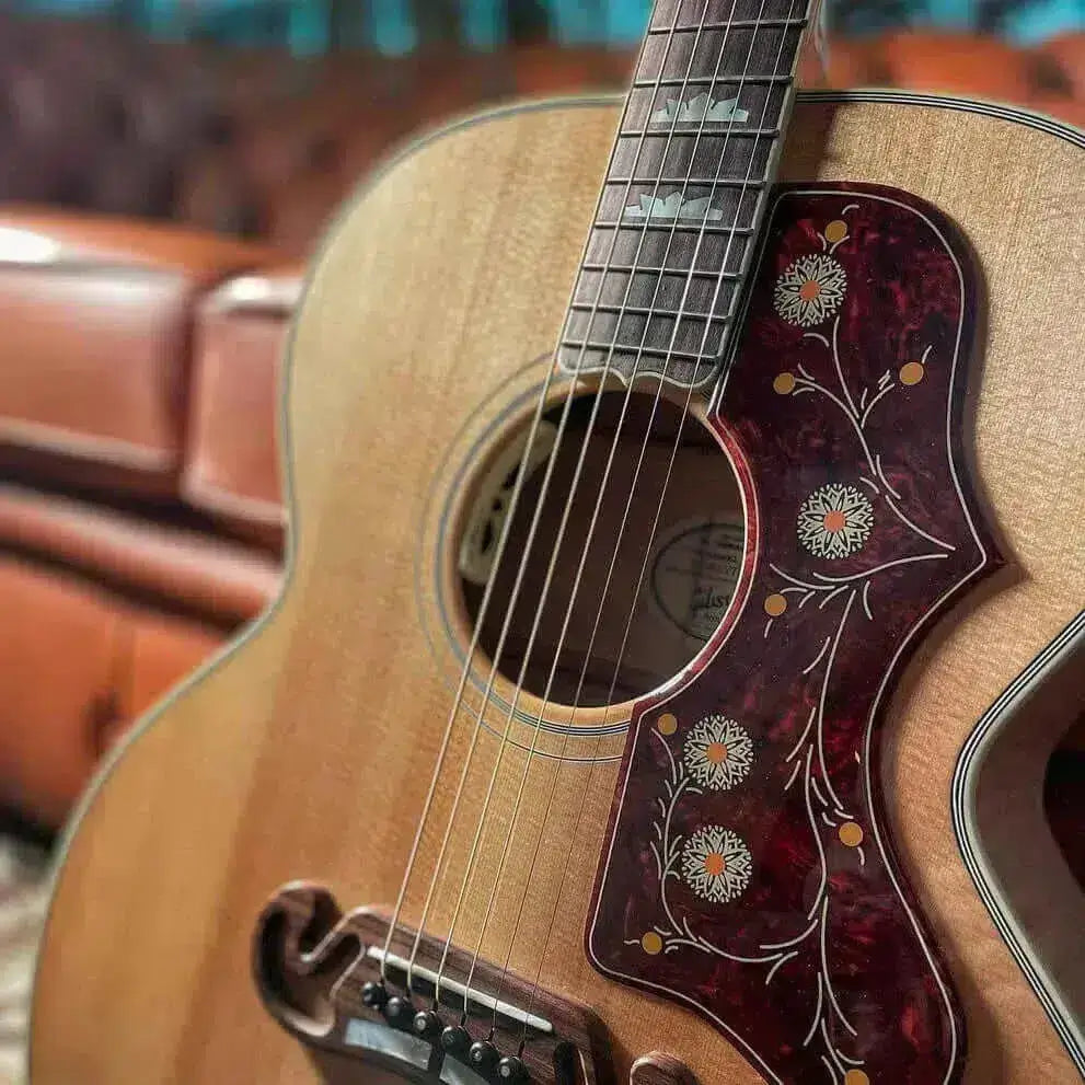 close up guitar