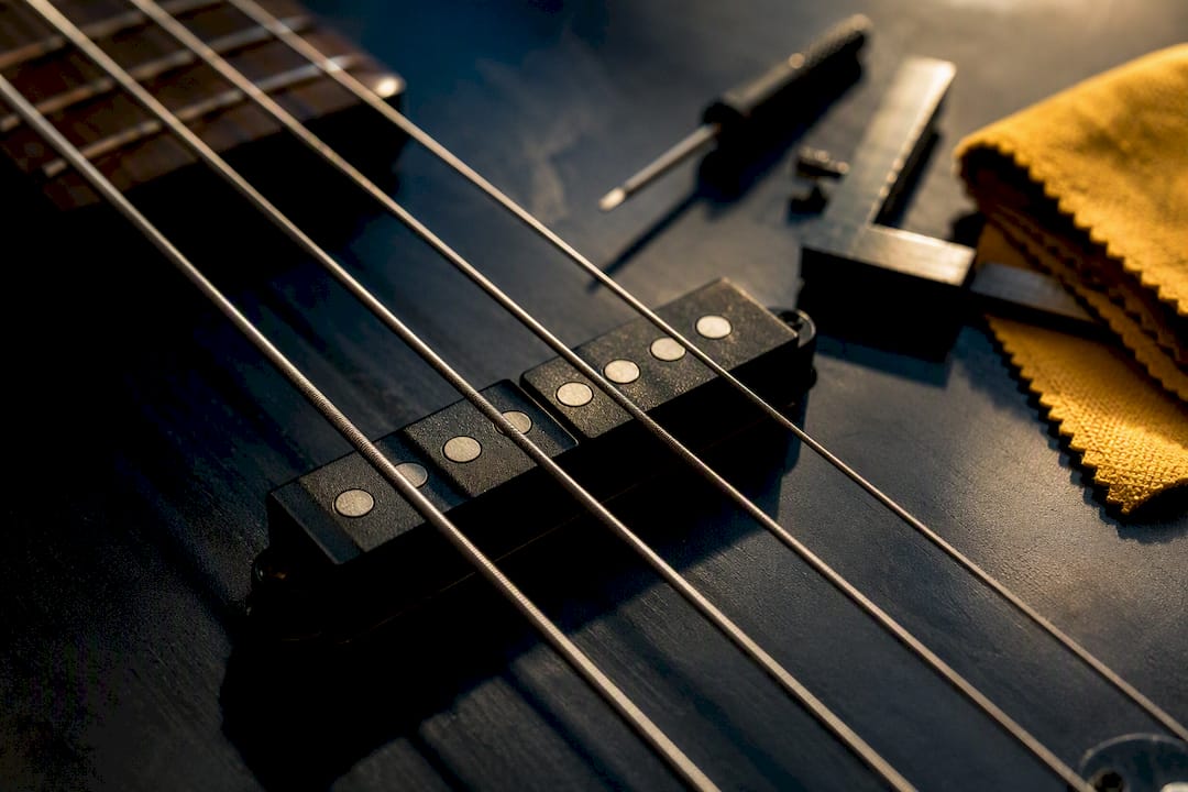 Close-up of electric bass pickup and strings