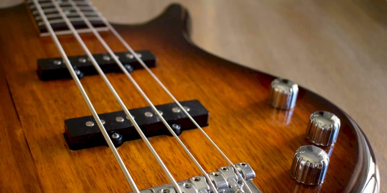 Close-up of contrasting bass pickup designs