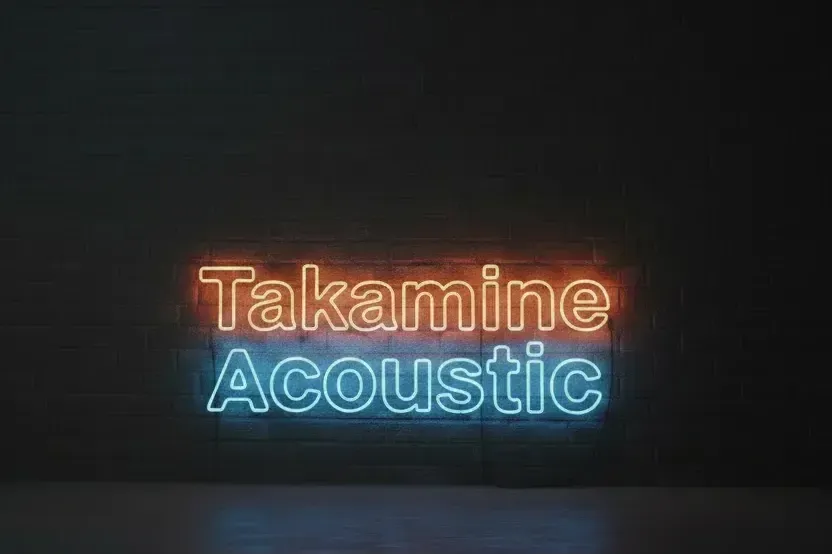 Takamine Acoustic Guitars Collection - Unleash Your Musical Potential
