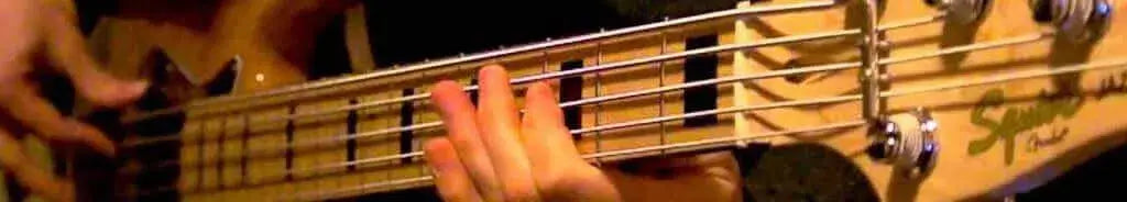 shop bass guitar