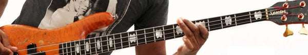Spector Basses