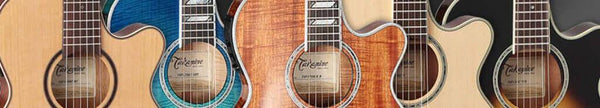 Takamine Japanese guitars UK