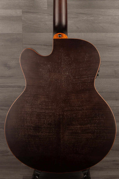 Aria FEB F2M/FL Medium scale Fretless Acoustic Bass - Black