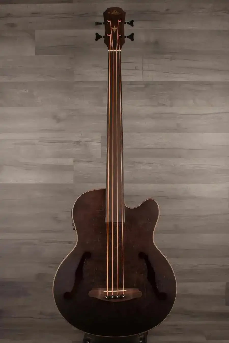 Aria FEB F2M/FL Medium scale Fretless Acoustic Bass - Black