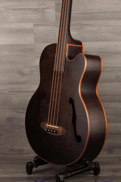 Aria FEB F2M/FL Medium scale Fretless Acoustic Bass - Black