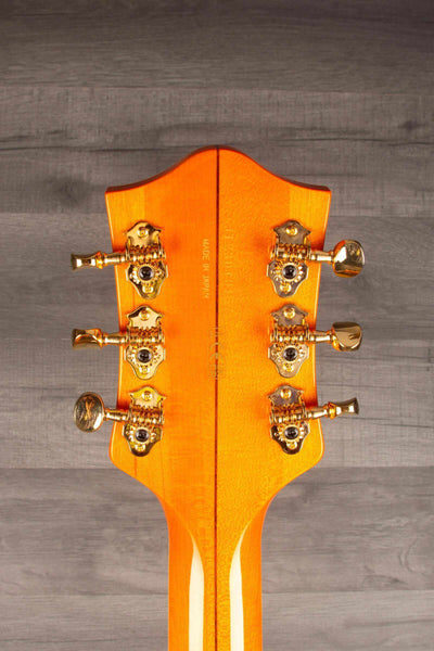 Gretsch G6120T 55 Vintage Select Edition 1955 Chet Atkins Electric Guitar