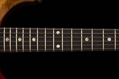 PRS DGT Dave Grissom Semi-Hollow Ltd. Electric Guitar