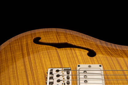 PRS DGT Dave Grissom Semi-Hollow Ltd. Electric Guitar