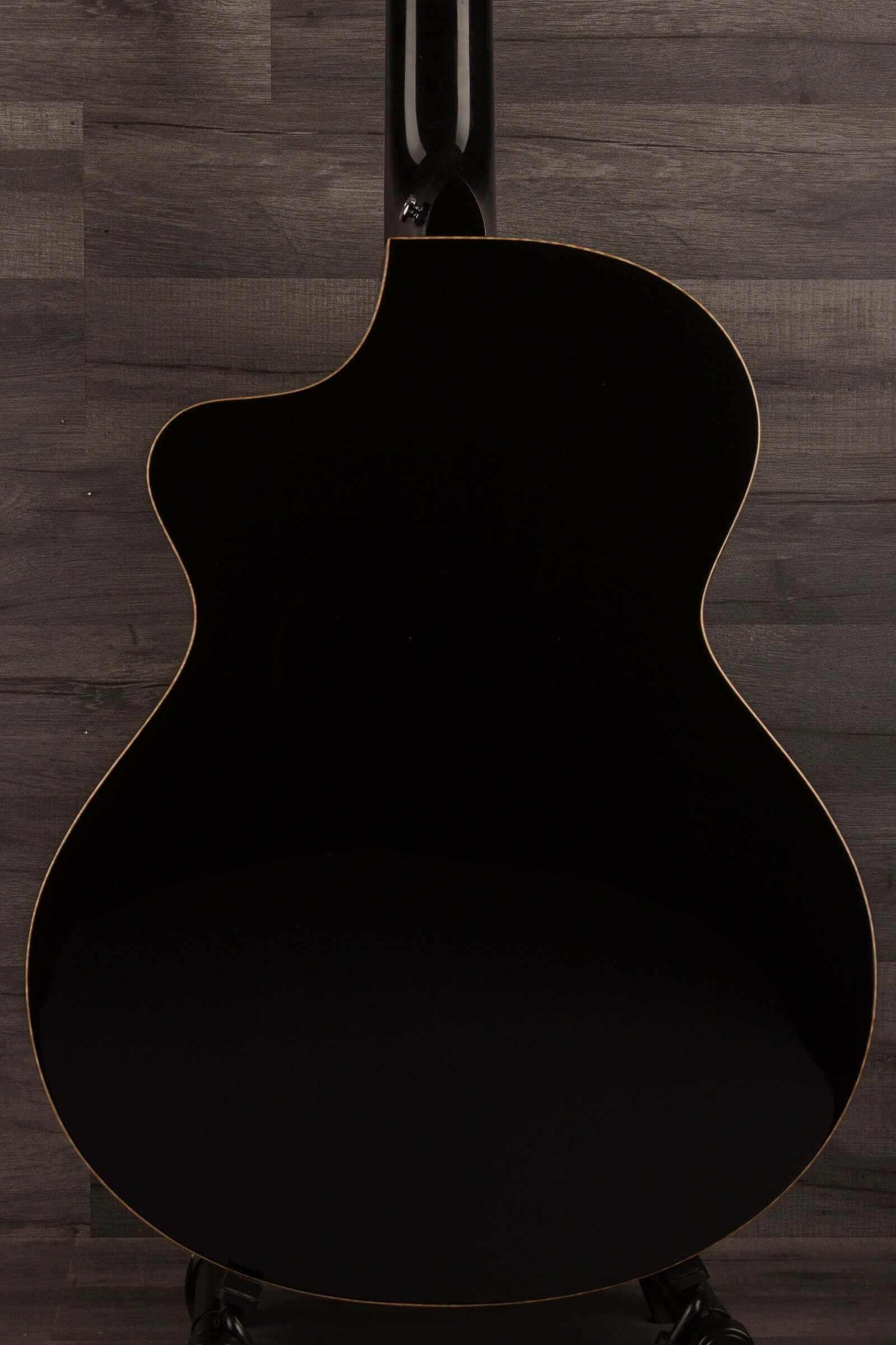 Faith ECLIPSE Series Neptune 12string CE Inc Case back view showcasing its sleek design and craftsmanship.