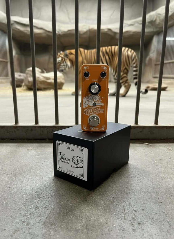 Guitar effects pedal on a stand with a tiger in the background