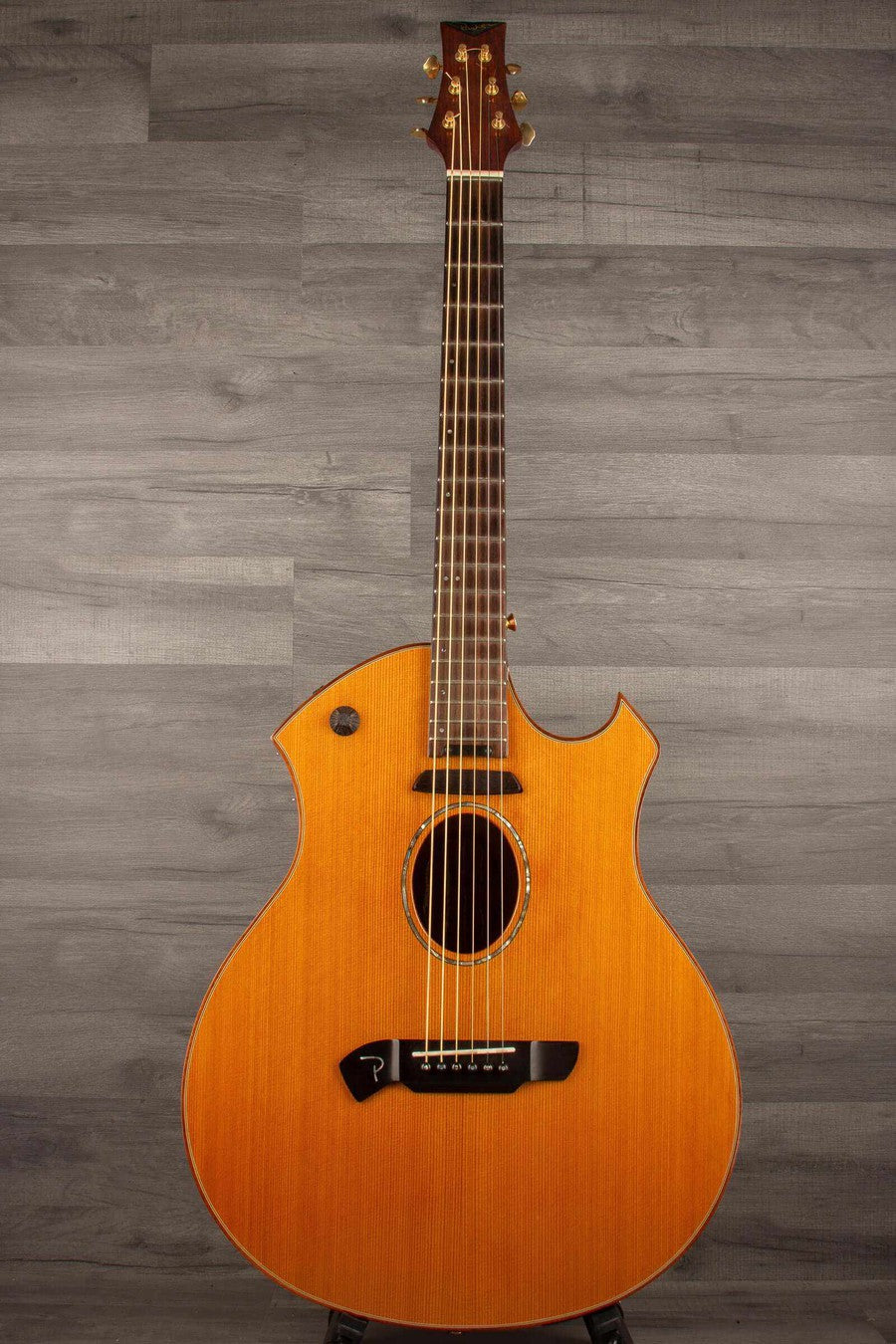 USED - Parker Fly P8EN Electro acoutisc