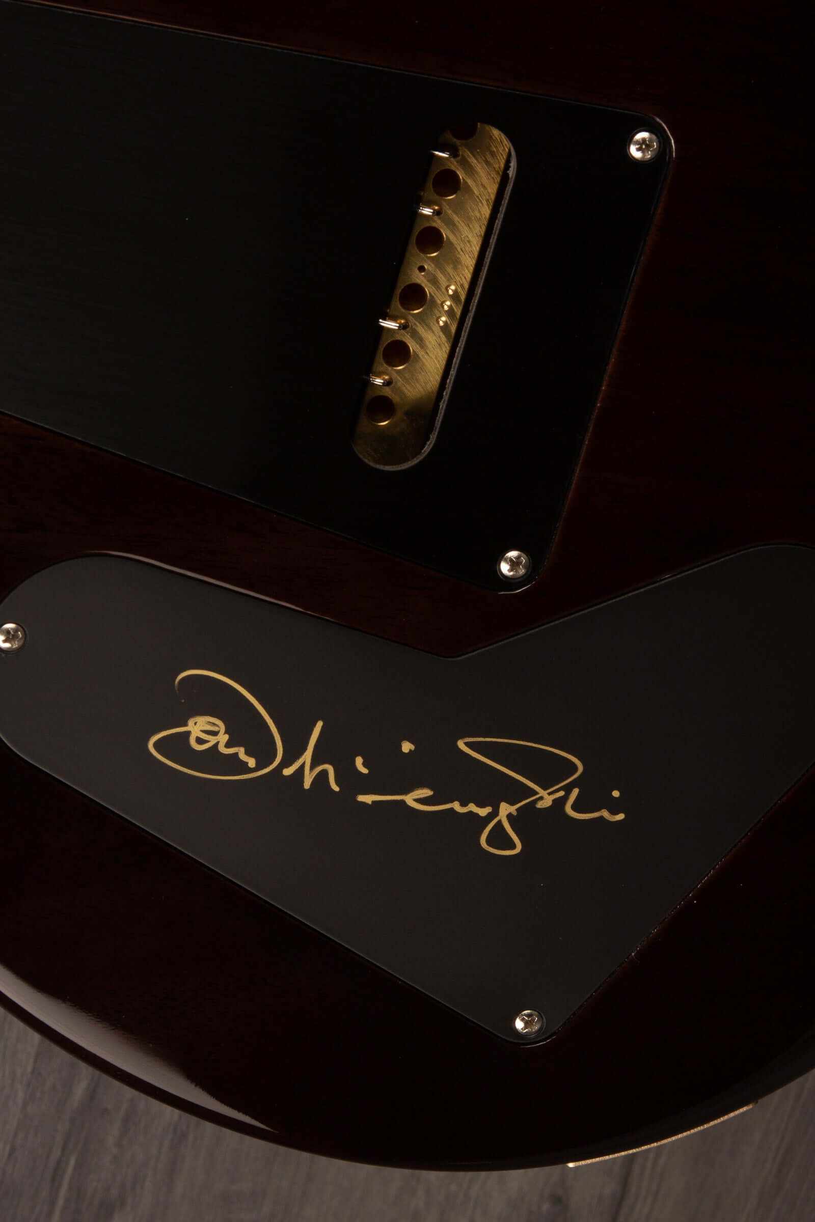 PRS Private Stock John McLaughlin Limited Edition Electric Guitar - Charcoal Phoenix PS#10656