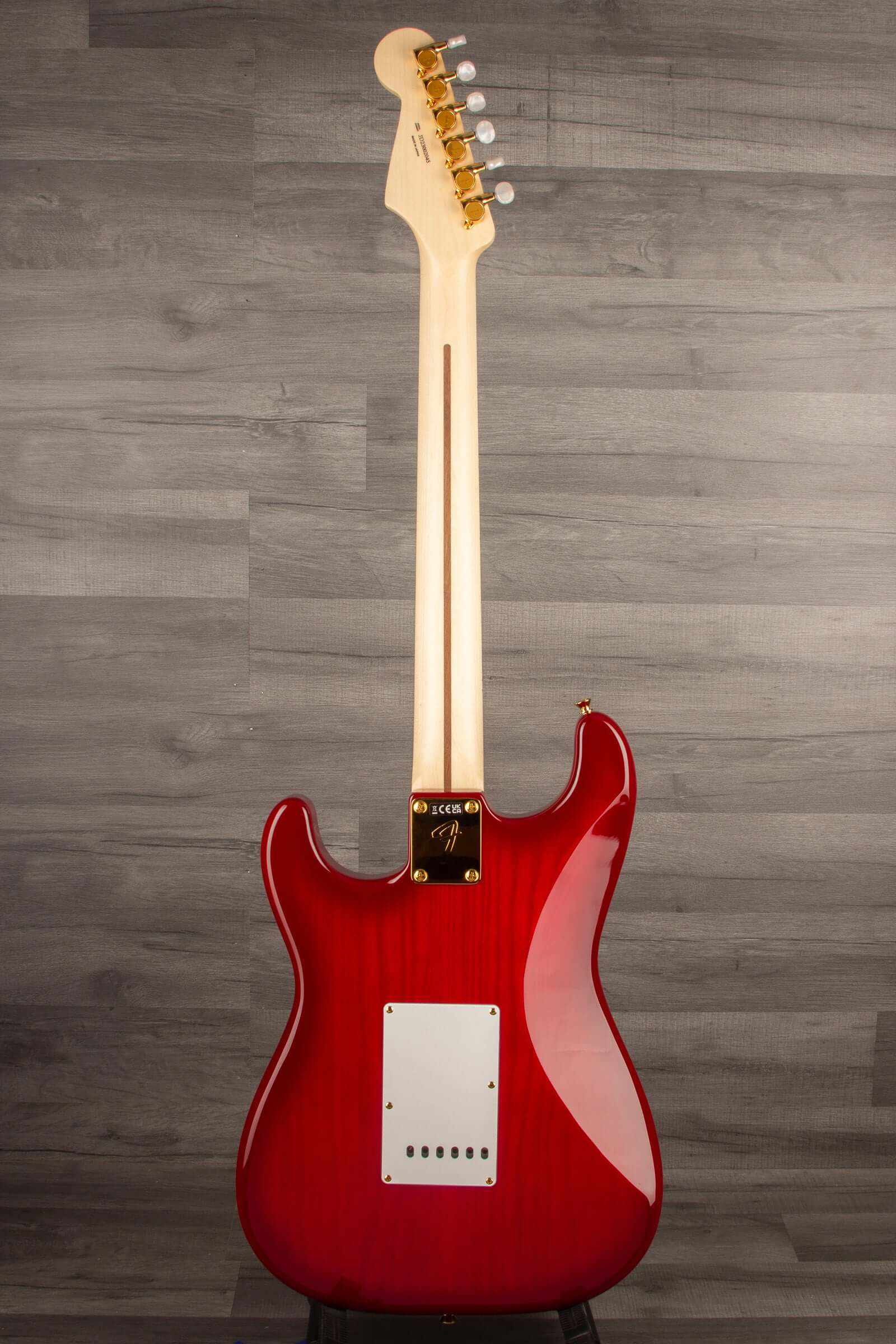 Fender Richie Kotzen Stratocaster® Electric Guitar, Maple Fingerboard - Transparent Red Burst (Japanese)