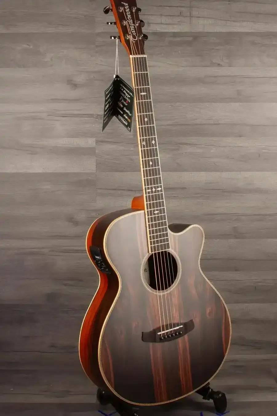 Tanglewood TRU4CE-AE - MusicStreet