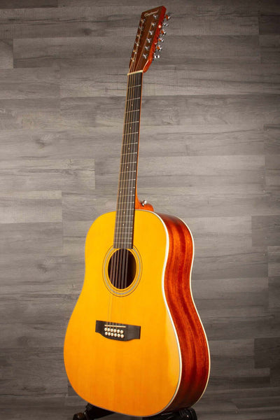 Tanglewood TW40-12-SDANE 12 String Slop Shoulder Dreadnought Acoustic Guitar - Hard Case