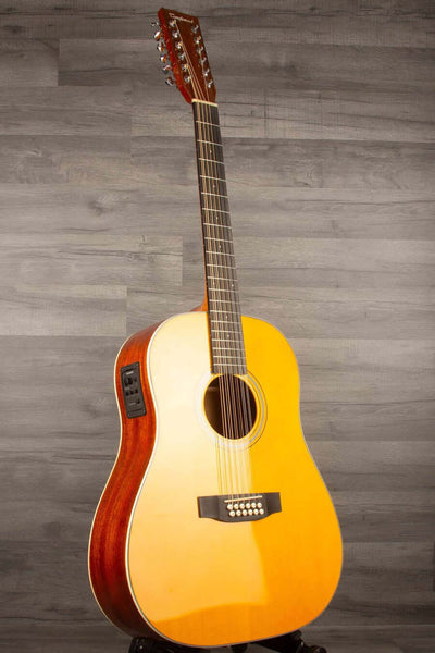 Tanglewood TW40-12-SDANE 12 String Slop Shoulder Dreadnought Acoustic Guitar - Hard Case