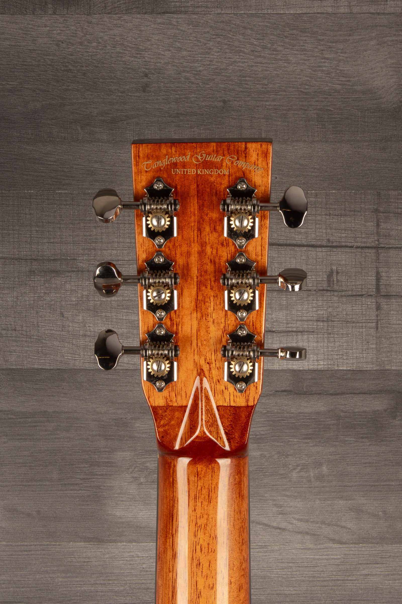 Tanglewood TW40OAN-E Acoustic Guitar