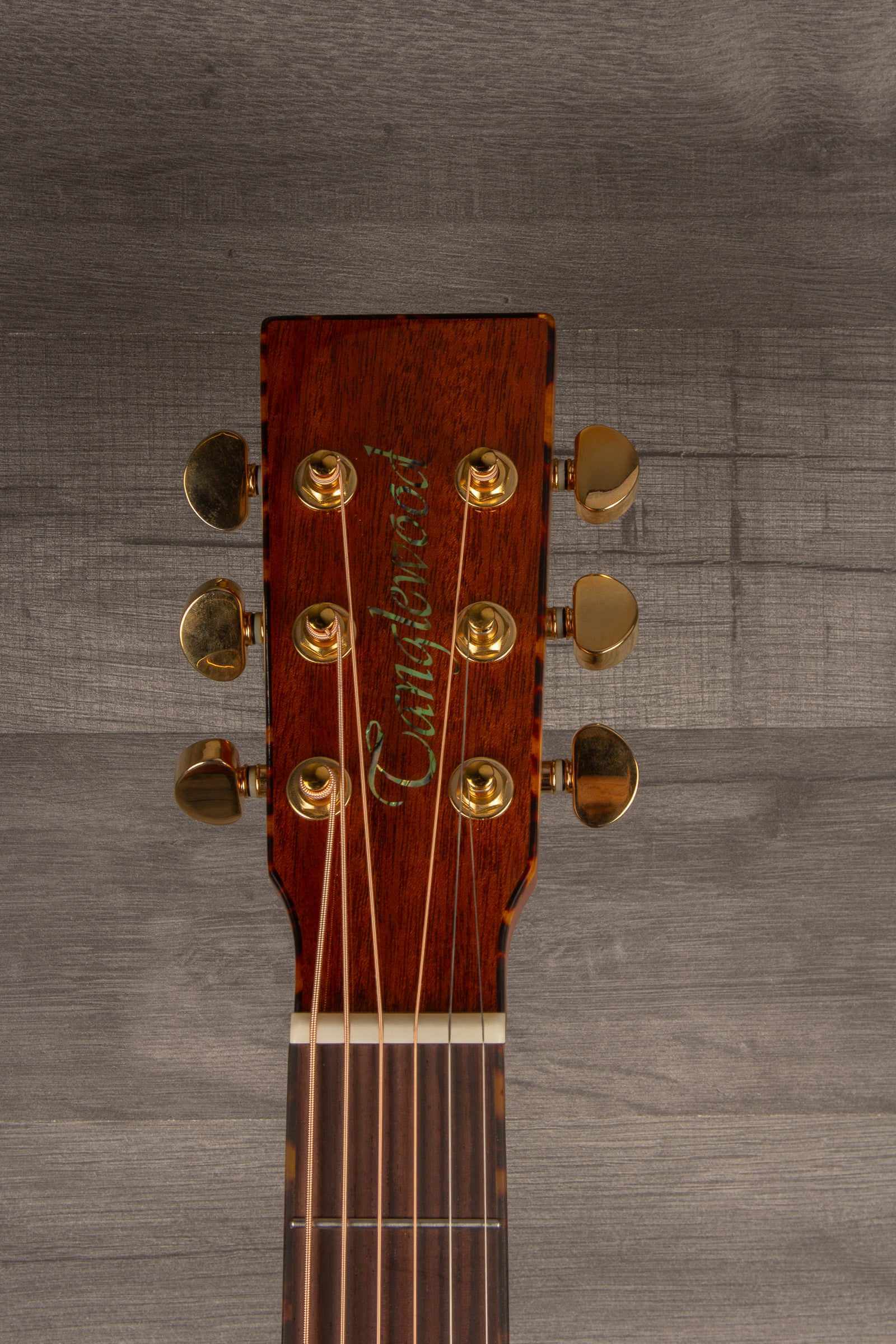 Tanglewood TW47-RE Acoustic Guitar