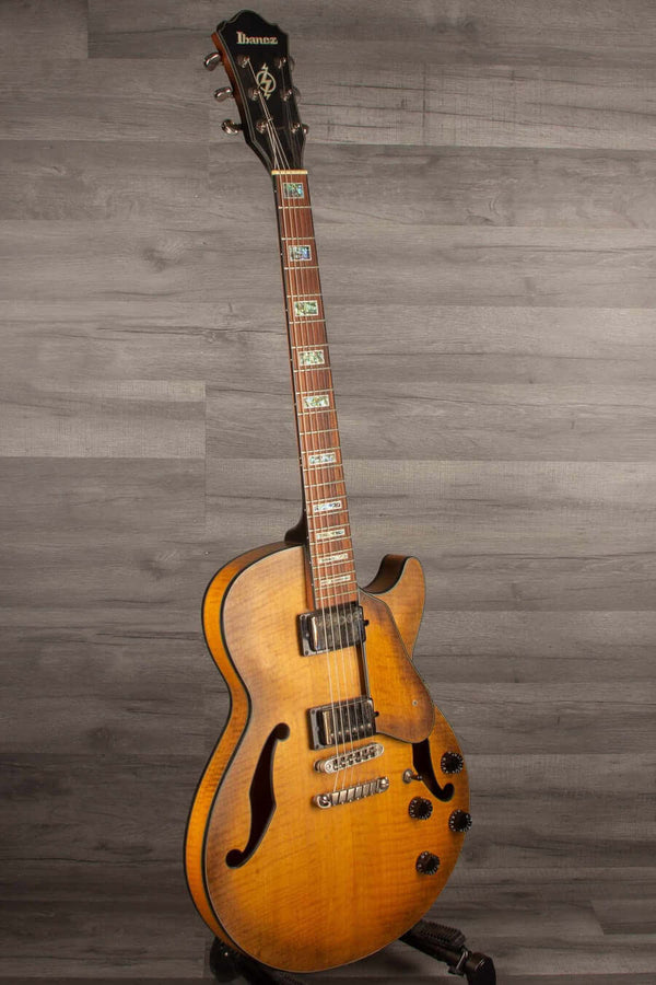 Ibanez ags83b hotsell