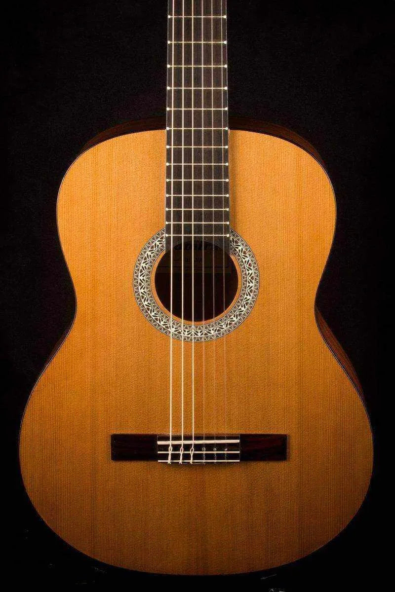 Admira Diana Guitar