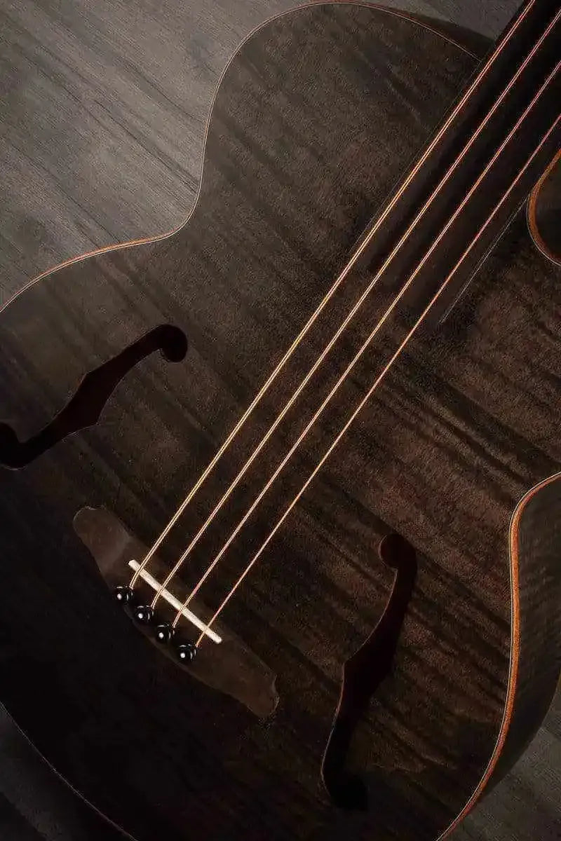Aria FEB - F2/FL STBK Fretless Electro - Acoustic Bass Guitar