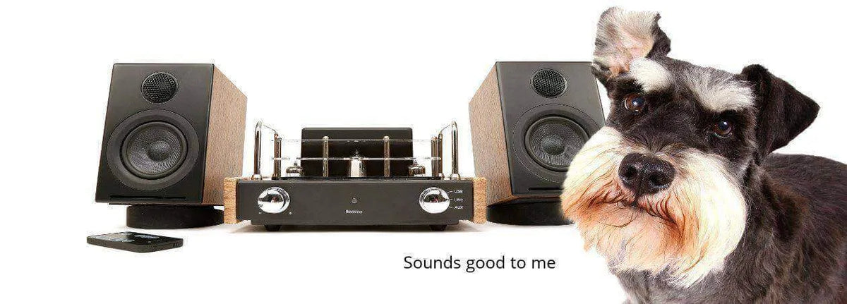 Blue Aura V30I Hybrid Valve Amplifier / Speaker System