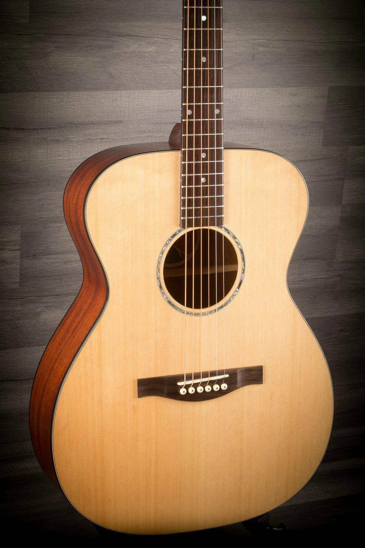Eastman PCH1-OM