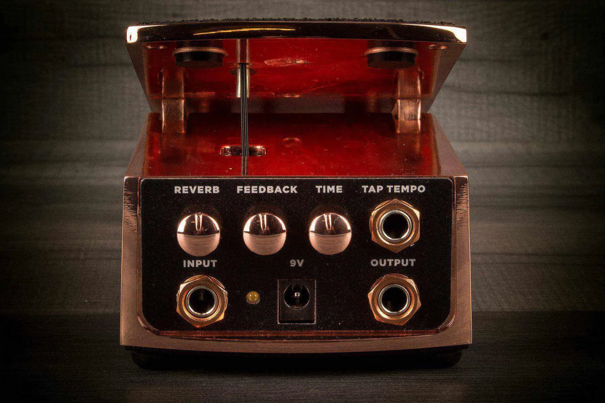 Ernie Ball Ambient Delay