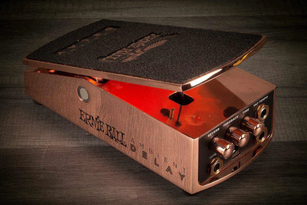 Ernie Ball Ambient Delay