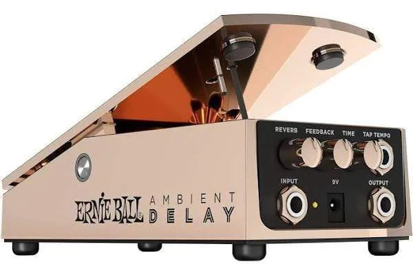 Ernie Ball Ambient Delay
