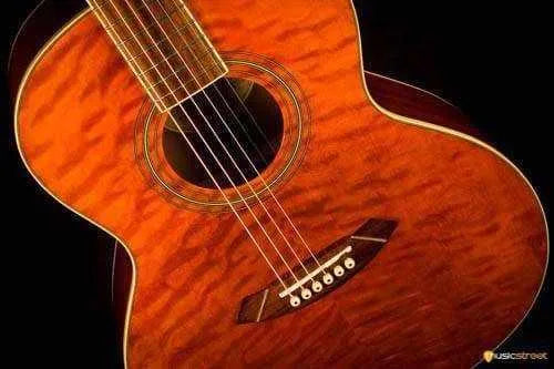 USED - Fender Gdo 300 Acoustic Guitar